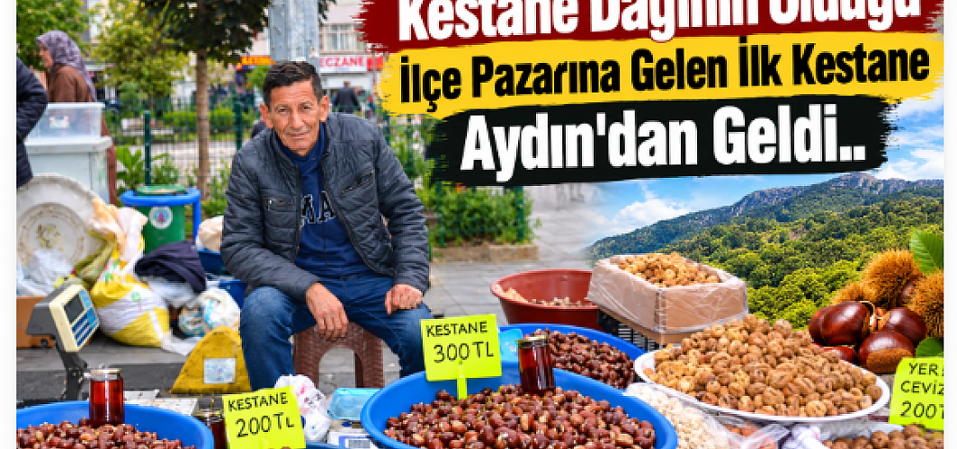 Kestane Dağının Olduğu İlçe Pazarına Gelen İlk Kestane Aydın'dan Geldi