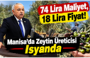 74 Lira Maliyet, 18 Lira Fiyat! Manisa’da Zeytin...