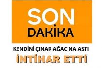 Kendini Çınar Ağacına Asarak İntihar Etti