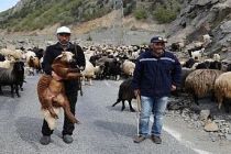 Yaylalara Göç Yolculuğu Başladı