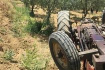 Zeytinlikte Çukura Giren Traktör Devrildi! 1 Ölü