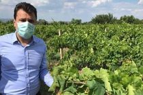 İktidar Çiftçi Borçları İçin Somut Adımlar Atmak Zorunda