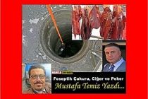 Foseptik Çukuru, Ciğer ve Peker