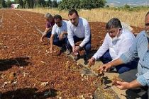 Fiyatı Üretici Mi Belirliyor Ki Mutlu Olsun?