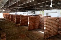 200 hayvan kapasiteli modern "Geçici Hayvan Bakımevi" yapımına başlandı