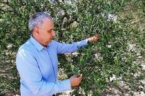 Tarım Desteği Cebe Girmeden Eridi