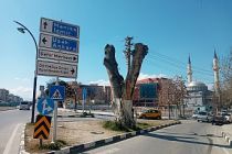 Ağaçlar ayakta ölür sözü doğru çıktı, asırlık çınarın içi çürüdü