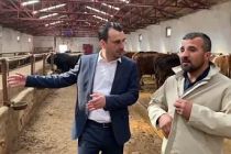 CHP’li Başevirgen Besicileri Dinledi : “Hiç Destek Vermeseler Daha İyi”