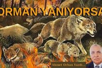 Orman Yanıyorsa / Ahmet Orhan Yazdı...