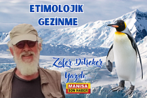 Etimolojik Gezinme / Zafer Dilşeker Yazdı...
