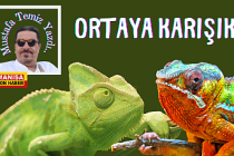 Ortaya Karışık / Mustafa Temiz Yazdı...
