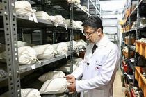 120 bin genetik materyal 'banka'larda korunuyor