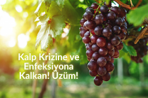 Kalp Krizine ve Enfeksiyona Kalkan! Üzüm!