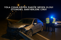 Yola çıkan köpek paniğe neden oldu! Otomobil bariyerlere girdi