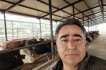 Kırmızı Ette Düşüş Beklentisi Hayal: “Sorun İthalatla Çözülmez”