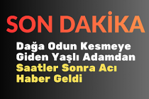 SON DAKİKA! Dağa Odun Kesmeye Giden Yaşlı Adamdan Saatler Sonra Acı Haber Geldi