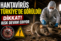 Hantavirüs Türkiye'de görüldü! Dikkat! Risk Devam Ediyor