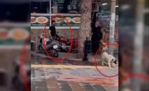 SON DAKİKA ! Sokak Köpeğini Fırça Sapıyla Döven Şahıs Gözaltına Alındı