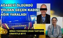 Miras yüzünden ağabeyini öldürdü, 1 kişiyi de yaraladı! Cezaevine girdi