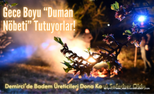 Gece Boyu “Duman Nöbeti” Tutuyorlar! Demirci’de Badem Üreticileri Dona Karşı Seferber Oldu