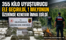 355 Kilo Uyuşturucu Ele Geçirildi, 1 Milyonun Üzerinde Kenevir İmha Edildi