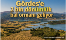 Gördes'e 2 bin dönümlük bal ormanı geliyor