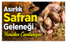 Asırlık Safran Geleneği Yeniden Canlanıyor