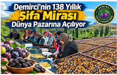 Demirci’nin 138 Yıllık Şifa Mirası Dünya Pazarına Açılıyor