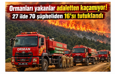 Ormanları yakanlar adaletten kaçamıyor! 27 ilde 70 şüpheliden 16'sı tutuklandı