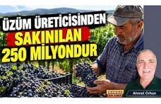 ÜZÜM ÜRETİCİSİNDEN SAKINILAN 250 MİLYONDUR / Ahmet Orhan Yazdı...
