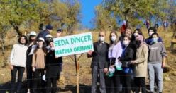 Seda Dinçer Hatıra Ormanı oluşturuldu