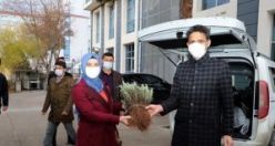 Demirci'de  Tıbbi Aromatik Bitkiler kursuna katılan 25 kadın kursiyere hibe lavanta fidesi dağıtıldı