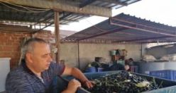Bakırlıoğlu’ndan Yeni Bakana Çağrı “İhracat Yasağını Kaldırın”