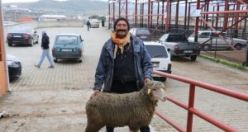 Büyükşehir’den ‘Koç’ Gibi Proje