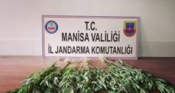 Jandarma hint keneviri ekenlere nefes aldırmıyor!