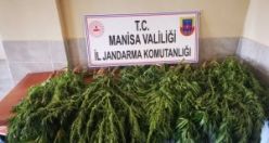 Hint Keneviri Ele Geçirildi