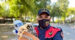 Yaralı Kukumav Baykuş tedaviye alındı