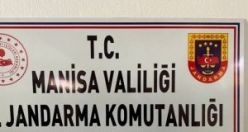 Kaçak ekilen kenevir bitkisi ve kubar esrar ele geçirildi