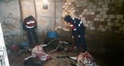 At ve eşekleri kesip etlerini piyasaya veriyorlardı