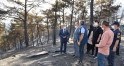 Vali Karadeniz,  Gördes İlçesinde Yangın Alanında İncelemelerde Bulundu