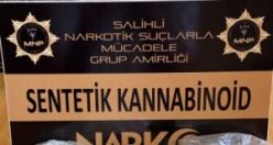 Bonzai maddesiyle yakalandı ve mahkemece tutuklandı