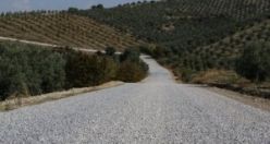 Muhtarın benzetmesi gündem oldu ‘Çileğimiz Kadar Güzel Bir Yol Oldu’