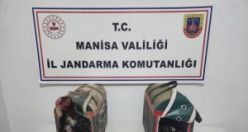Kumar Oynanması İçin Yer ve İmkan Sağlama, - Hayvanları Koruma Kanununa Muhalefet! Horozlara el konuldu
