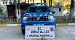 1017 kök hint keneviri ele geçirildi