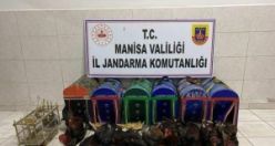 Jandarma bastı! Dövüşçü horozlar maçı yarıda bıraktı