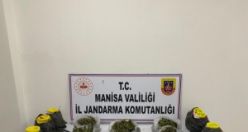 Yetiştirip, satıyordu evde ele geçirildi