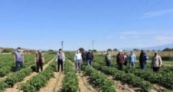 Çiftçilere Tarlada Bayram Ziyareti