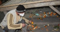 Pazar dağıldıktan sonra atılanlardan toplayıp evlerine götürüyorlar