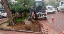 Yeşil Alanlar Kışa Hazırlanıyor