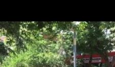 Şehrin Dışından Gelip Kimisi Seyyar Satıcılık Kimisi Dilencilik Yapıyor